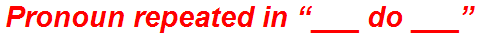 Pronoun repeated in “___ do ___”