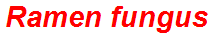 Ramen fungus