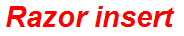 Razor insert