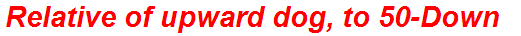 Relative of upward dog, to 50-Down