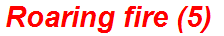Roaring fire (5)