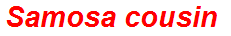 Samosa cousin