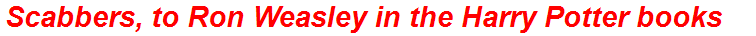 Scabbers, to Ron Weasley in the Harry Potter books