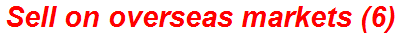 Sell on overseas markets (6)