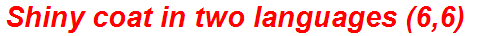 Shiny coat in two languages (6,6)