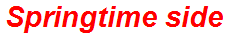 Springtime side