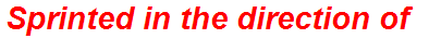 Sprinted in the direction of