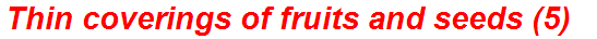 Thin coverings of fruits and seeds (5)