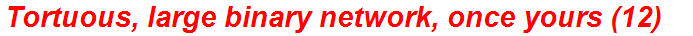 Tortuous, large binary network, once yours (12)
