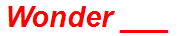 Wonder ___