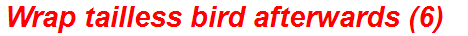 Wrap tailless bird afterwards (6)