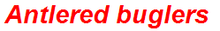 Antlered buglers