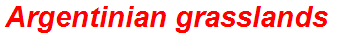 Argentinian grasslands