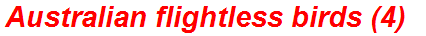 Australian flightless birds (4)