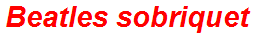 Beatles sobriquet