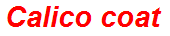 Calico coat