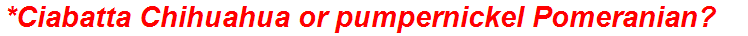 *Ciabatta Chihuahua or pumpernickel Pomeranian?