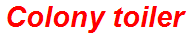 Colony toiler