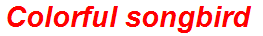Colorful songbird