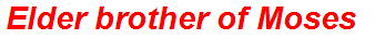 Elder brother of Moses