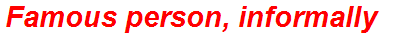 Famous person, informally