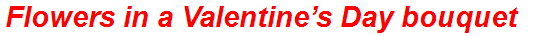 Flowers in a Valentine’s Day bouquet