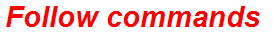 Follow commands