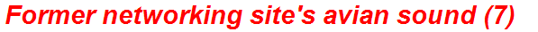 Former networking site's avian sound (7)