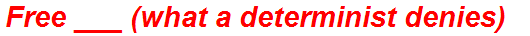 Free ___ (what a determinist denies)