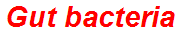 Gut bacteria