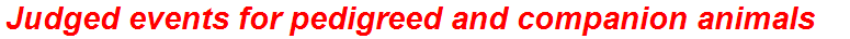 Judged events for pedigreed and companion animals