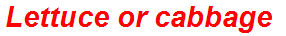 Lettuce or cabbage