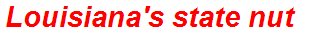 Louisiana's state nut