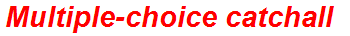 Multiple-choice catchall