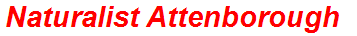 Naturalist Attenborough