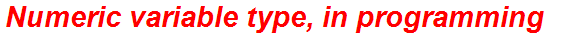 Numeric variable type, in programming