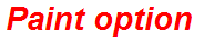 Paint option