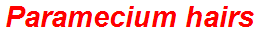 Paramecium hairs