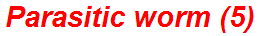 Parasitic worm (5)