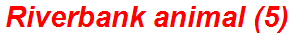 Riverbank animal (5)