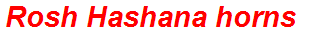 Rosh Hashana horns