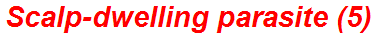Scalp-dwelling parasite (5)