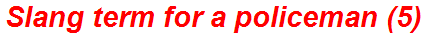 Slang term for a policeman (5)