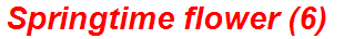 Springtime flower (6)