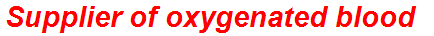 Supplier of oxygenated blood