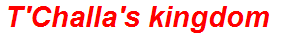 T'Challa's kingdom