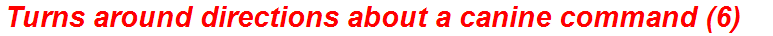 Turns around directions about a canine command (6)