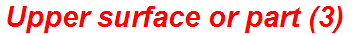 Upper surface or part (3)