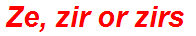 Ze, zir or zirs