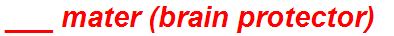 ___ mater (brain protector)
